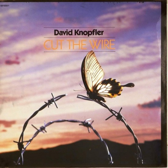 Пластинка David Knopfler Cut the Wire